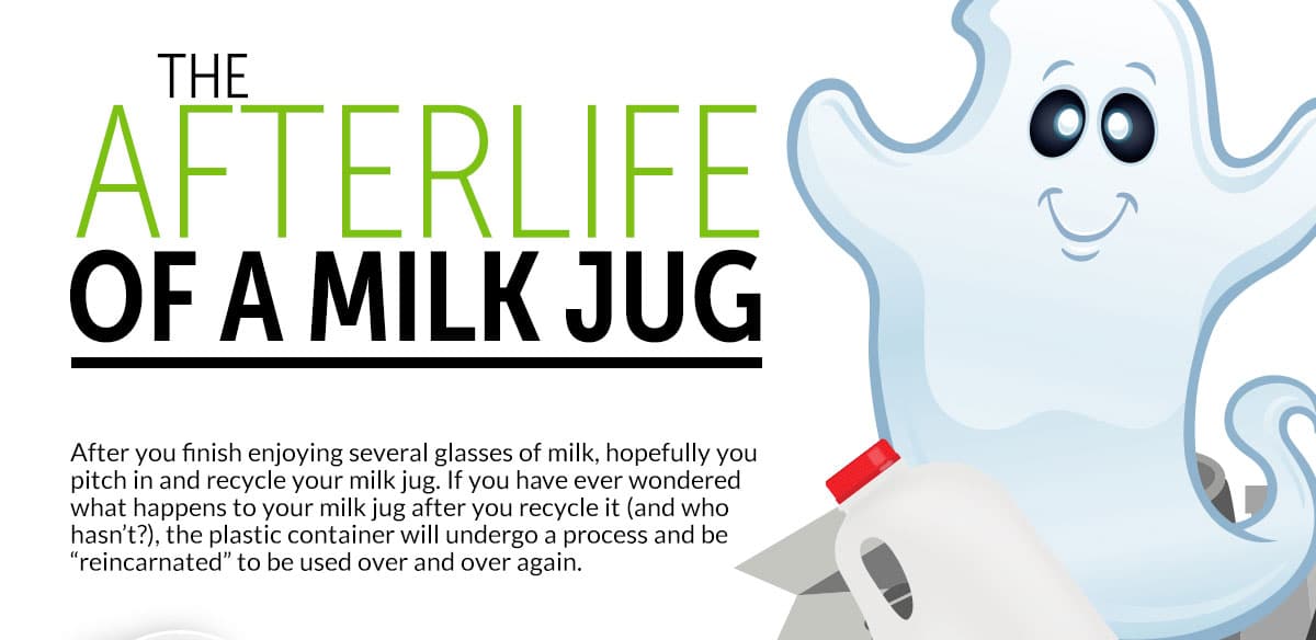 The afterlife of a milk jug