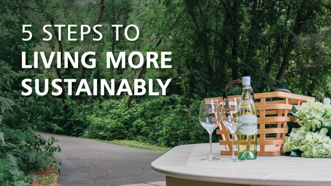 5 Steps to living more sustainably