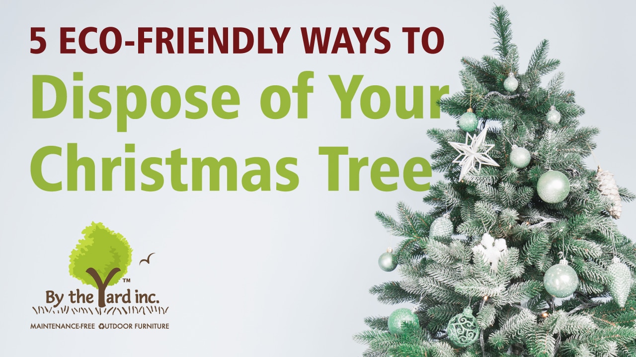 5 eco-friendly ways to dispose of your christmas tree