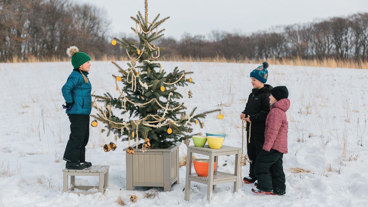 kids decorating a christmas tree with natrual ornaments