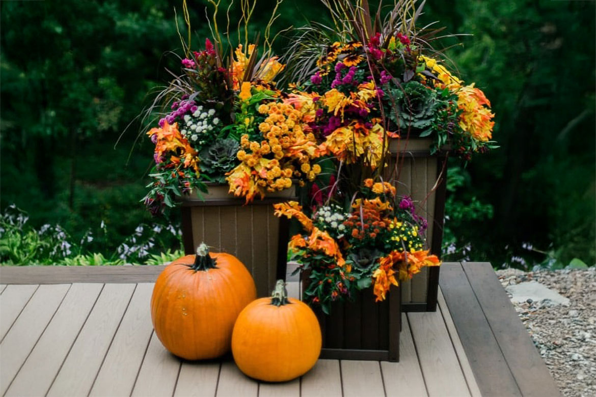 By the Yard planters with fall flowers